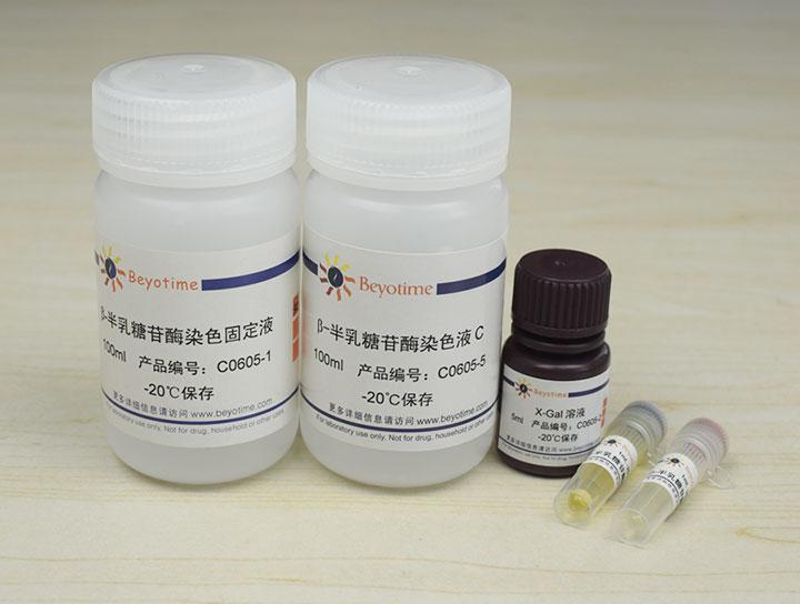 溶酶体β-半乳糖苷酶染色试剂盒